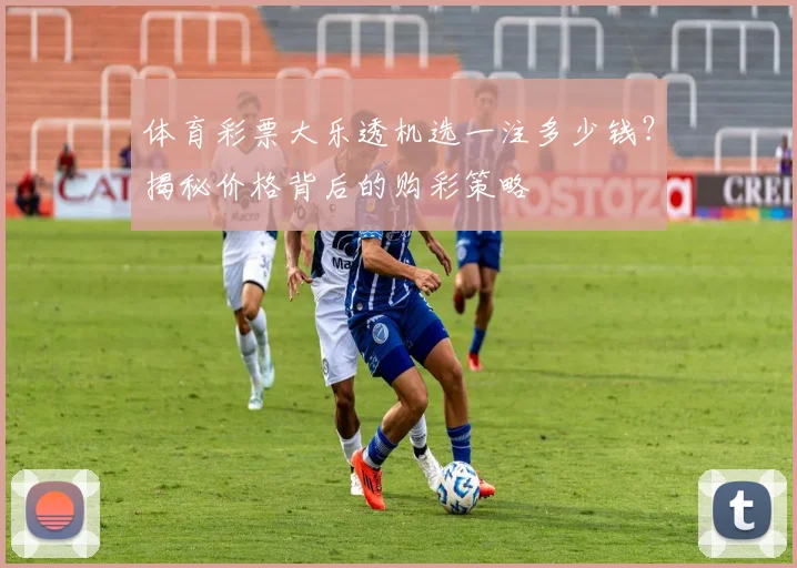 体育彩票大乐透机选一注多少钱？揭秘价格背后的购彩策略